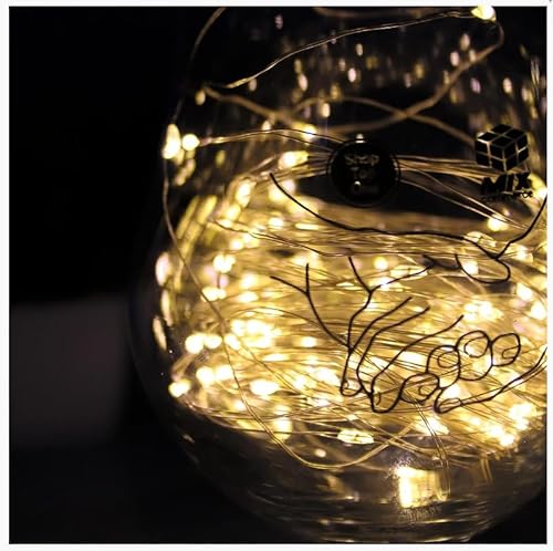 Pisca de LED Fio de Fada 100L 10 Metros USB e Pilha Decoração Fotografia Natal (Colorido)