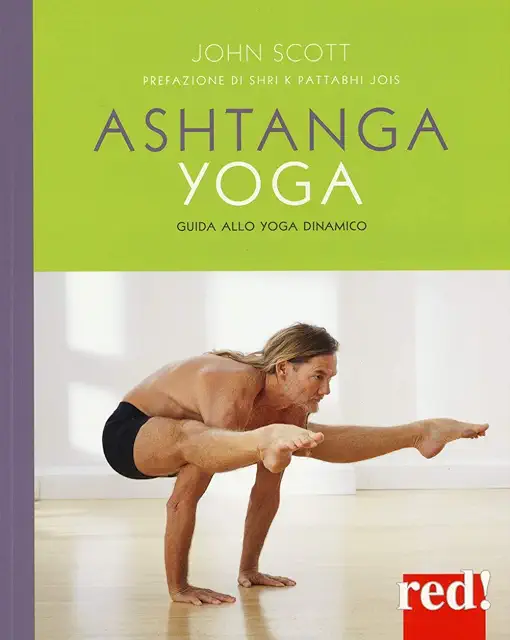 Ashtanga Vinyasa Yoga: Guida Completa allo Yoga Dinamico