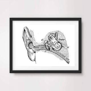 EAR HEARING MEDICAL ART PRINT ANATOMICAL ANATOMY MEDICINE HUMAN BODY BIOLOGICAL CHART DIAGRAM ILLUSTRATION VINTAGE ANTIQUE Poster Home Decor Wall Picture A4 A3 A2 (10 Size Options)