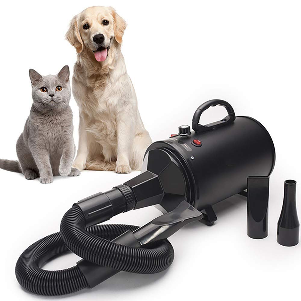 Secador de Pelo Profesional para Mascotas, máquina de soplado de Pelo para Perros, máquina de soplado de Agua, Adecuada para Perros y Gatos Grandes y medianos, 2000 W de Potencia, silencioso, antiesc
