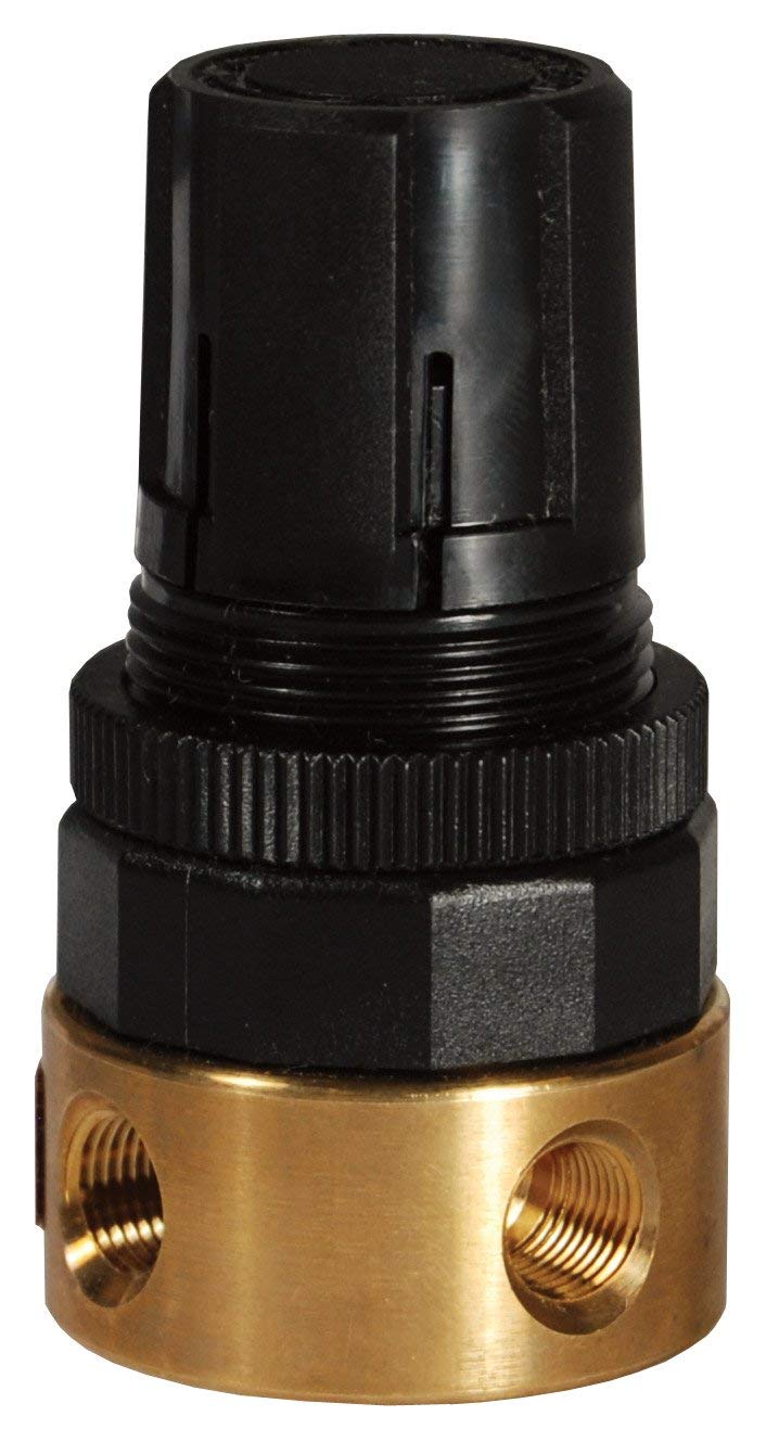 Dixon RB3-02R Wilkerson 1/4" Mini Water Regulator Without Gauge 14-SCFM, Old# R04-02R, Brass