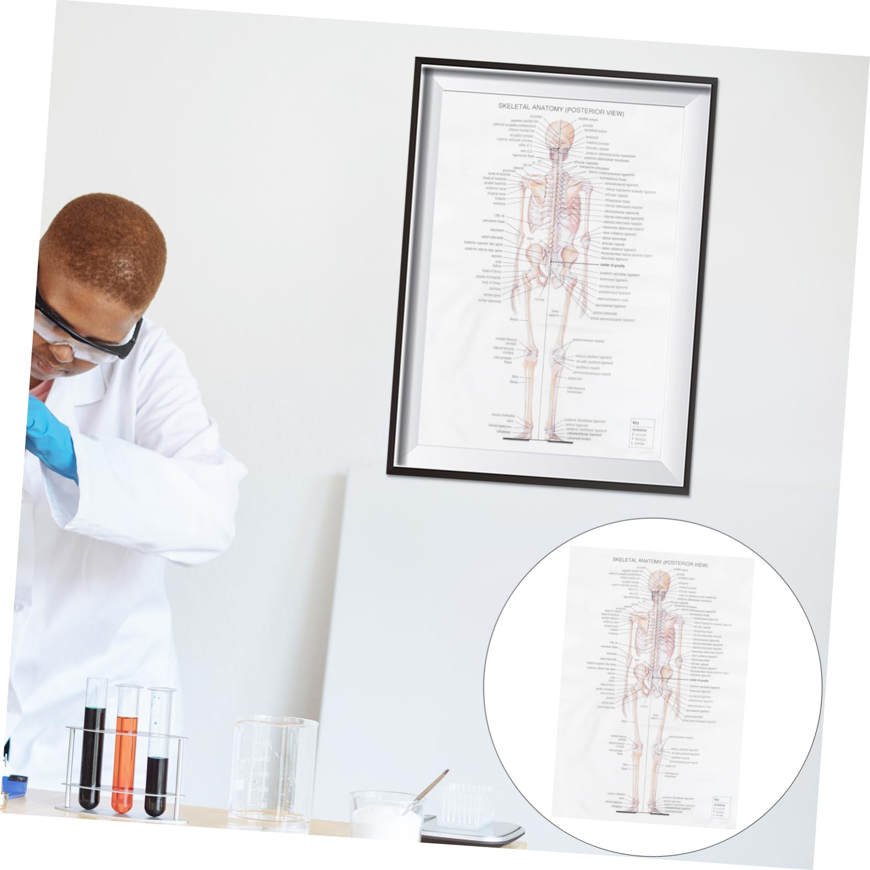 Cabilock Skeleton Human Anatomy Poster Creative Decorative Chart for Office Study Theme Meaningful present for Medical Enthusiasts