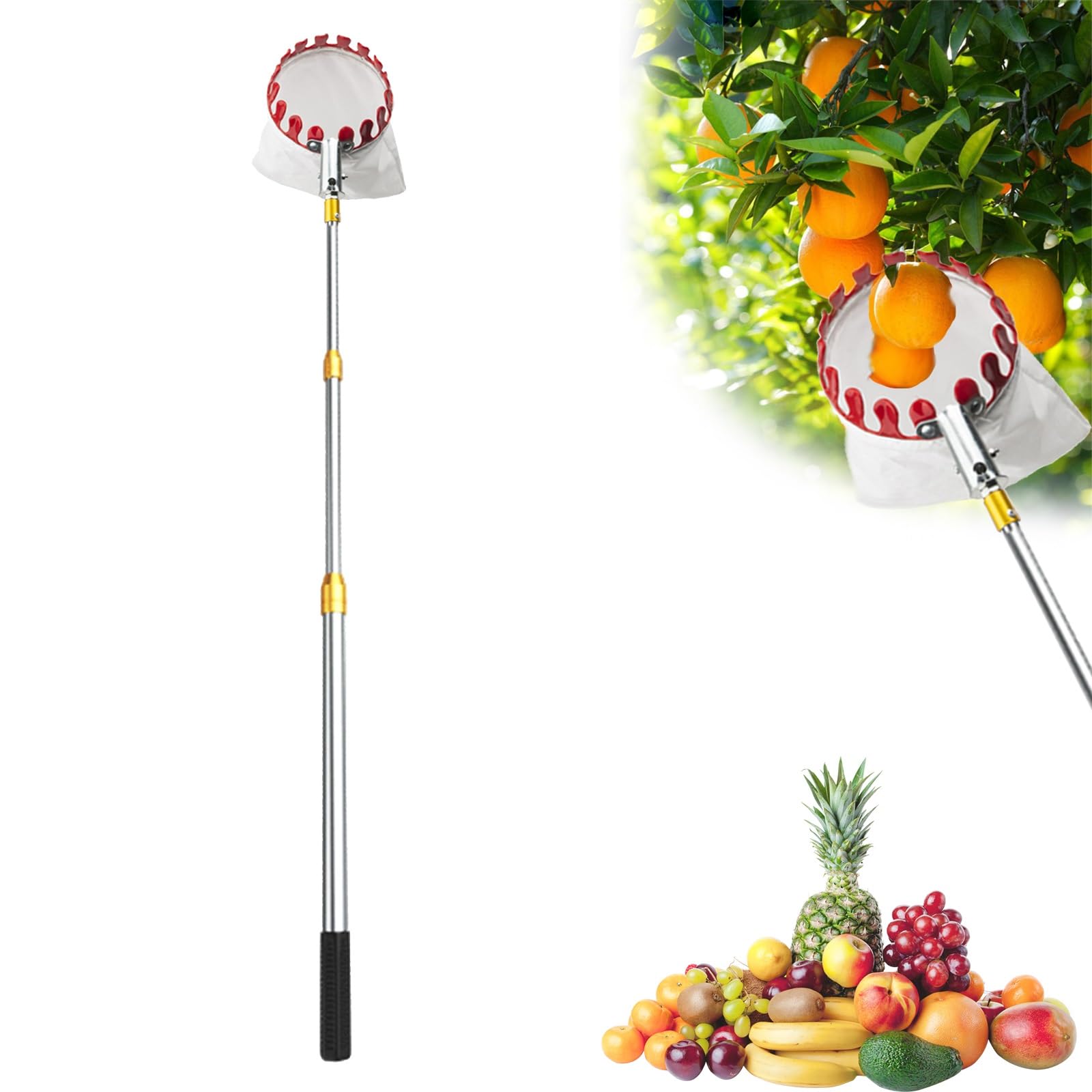 bastone raccogli frutta telescopico Raccoglifrutta Con Asta Di Prolunga 2 3 4 5 6 7 10 M, Asta Per Raccogliere La Frutta Con Grande Cestino Per Mele, Avocado, Ghiande, Limoni, Pere, Mango(L 2.5m(8 1/5