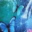 B - Waterfall Butterfly