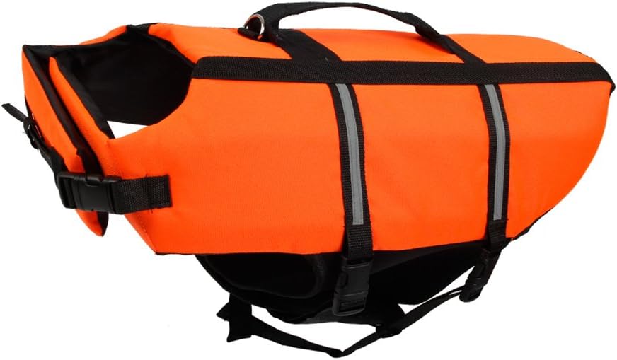 attrezzatura riflettente per cani