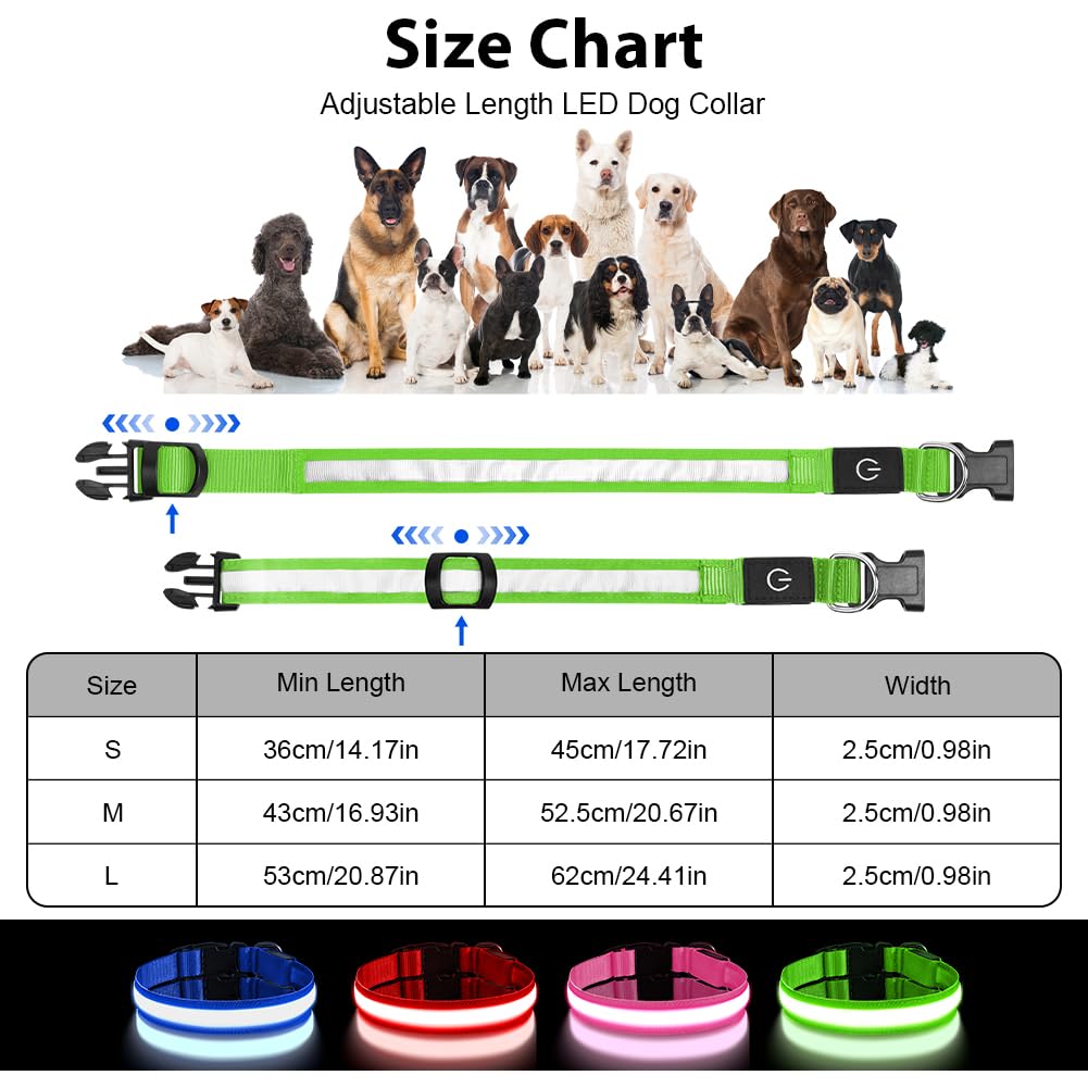 AUAUY Light Up Dog Collar, Type-C Port Charging LED Dog Collar Light - Image 2