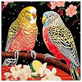 CREAFOMIFE Puzzle 1024 Pièces pour Adultes, Motif Perroquet Arc-en-Ciel 60x60 cm, Cadeau Ideal pour Amateurs de Puzzles