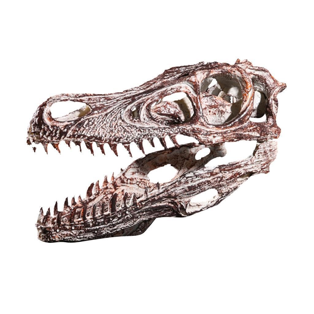 Cabeza de dinosaurio con calavera escultura de resina y adorno fósil para casa