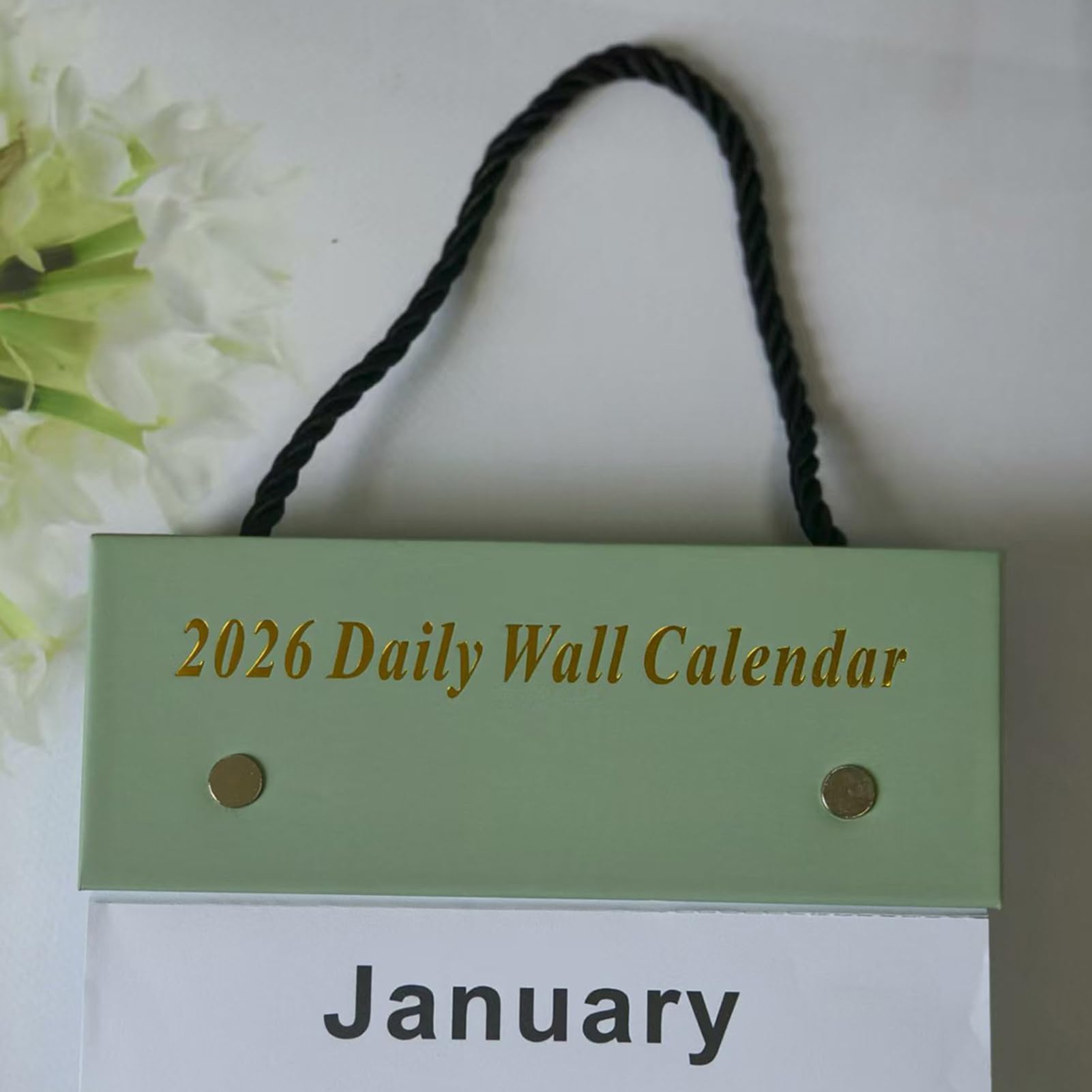Calendario Diario Para Pared Agenda Organizador Planificador Arrancable | Calendario Diario Anual De Pared Y Escritorio Aula Dormitorio Salón Estudio Estudiante Niño Adolescente Profeso
