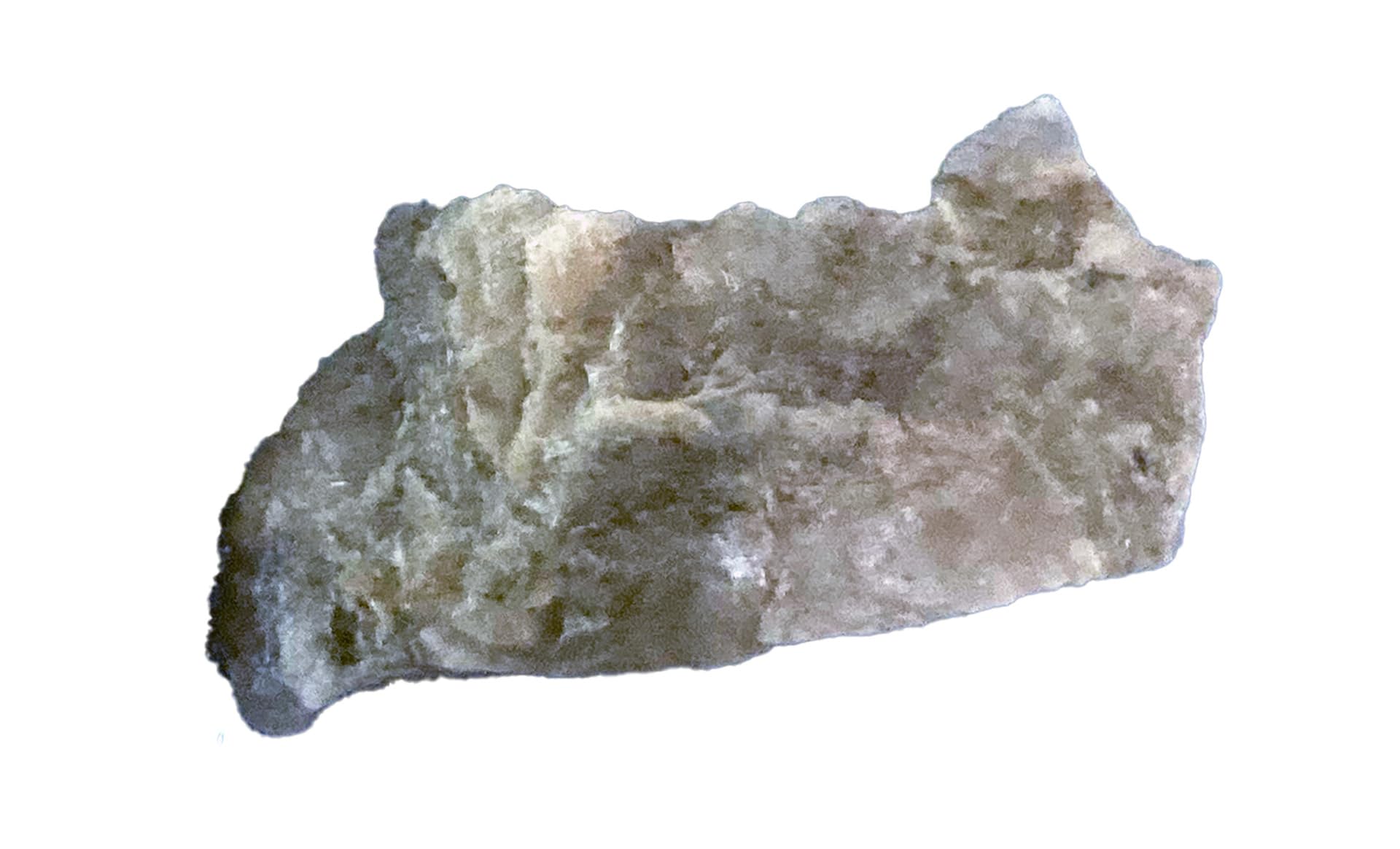 Dinosaur Coprolite (Fossilized Poop) – Genuine Prehistoric Specimen for Science Education or Collectors