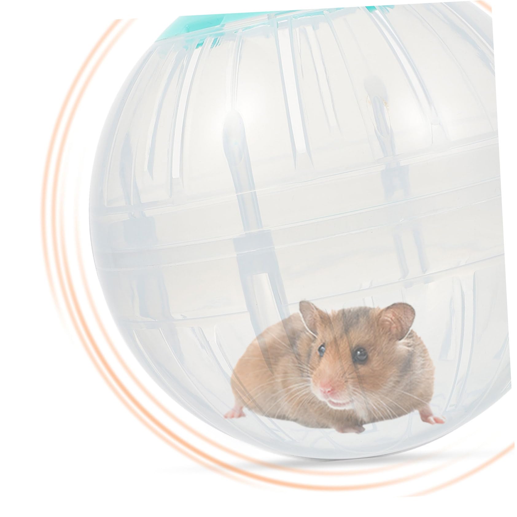 4stücke Hamster Laufbälle Transparente Aktivitätsbälle Für Hamster Und Kleine Haustiere Für Bewegung Und Spielspaß Transparent Fördert Die Fitness Und Langeweile