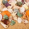 Sea Shell Mixed Ocean Shells Set, 15 Kinds 1.2-2.7 Various Sizes Natural Seashell & Starfish for Beach Themed Decor, DIY Crafts, Vase Fillers, Fish Tank, Home, Wedding and Party Decoration