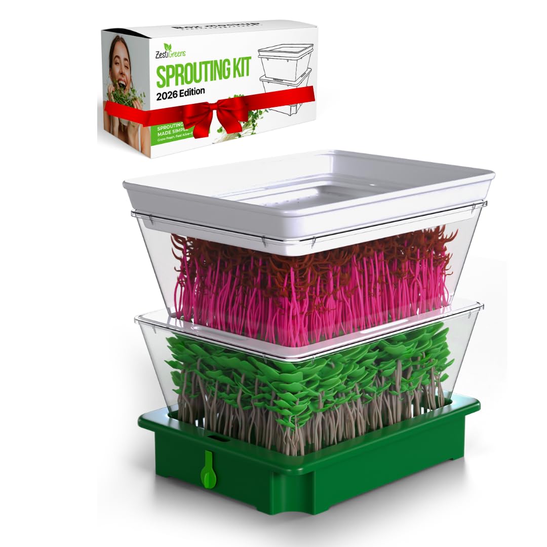 Ensemble de germination à 2 niveaux ZESTIGREENS pour graines maison