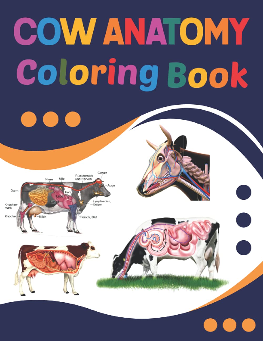 Cow Anatomy Coloring Book: Incredibly Detailed Self-Test Coloring Workbook for Studying. Perfect Gift for Medical School Students, Nurses, Doctors and ... Great Book For Learn about the Cow Anatomy.