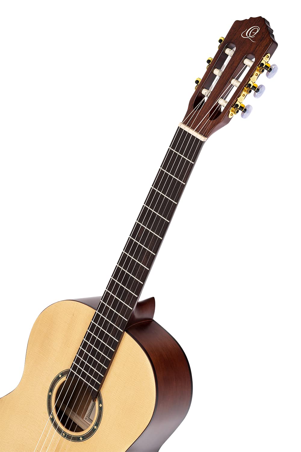 Ortega Guitars Family Series Pro Chitarra Acustica, 6 Corde, Finitura Semilucida, Catalpa