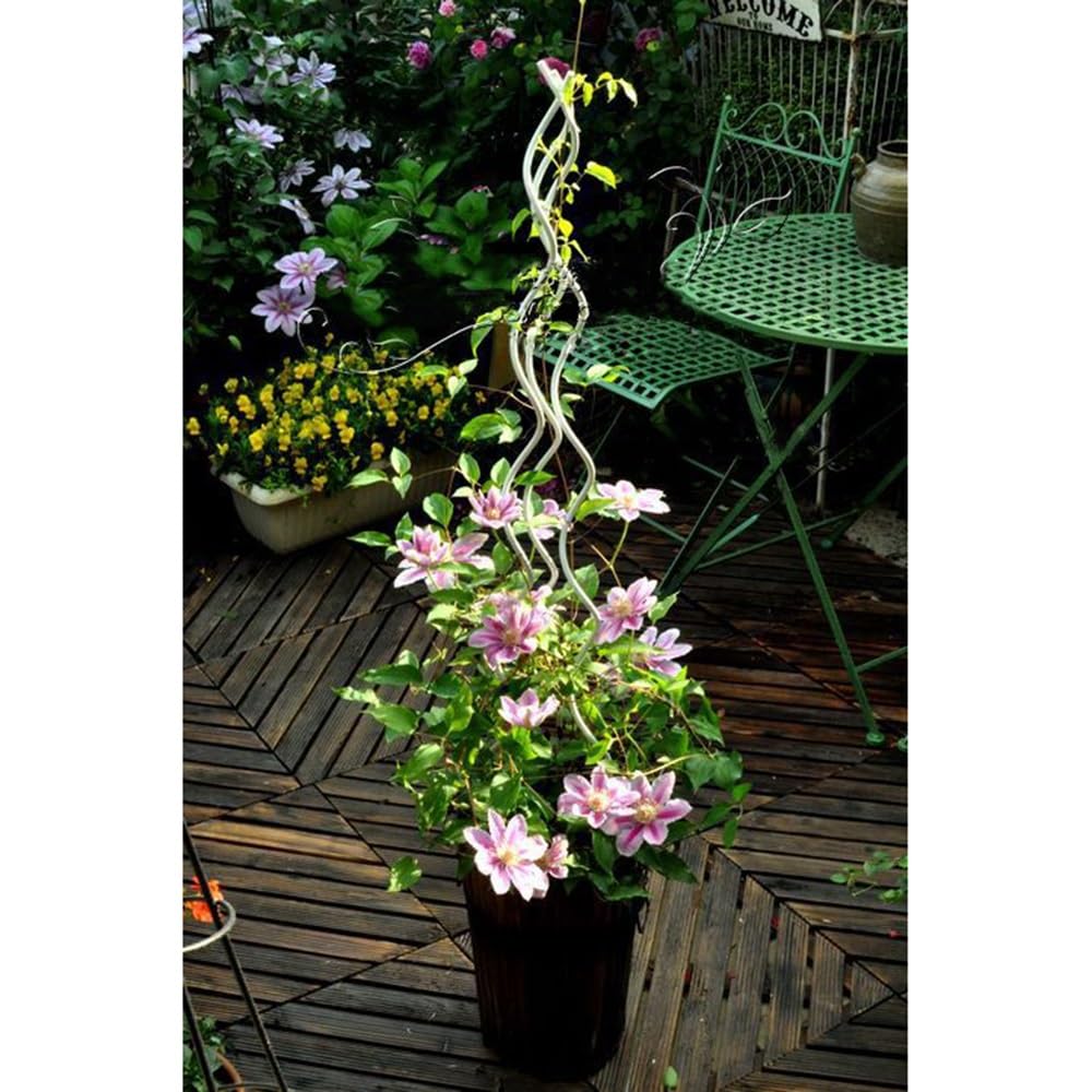 Support de Rose Poteau en Spirale Support de Redressage de Fleurs, Treillis pour Plantes en Pot pour Plantes Grimpantes Treillis de Plantes Bricolage Treillis Supports de Fleurs, Lot de 3(Size:150CM/5