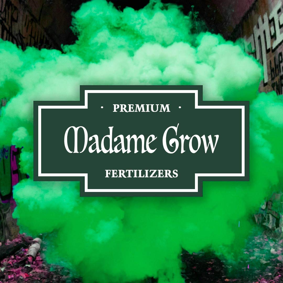 MADAME GROW Fertilizante plantas verdes - Abono para plantas verdes - Abono líquido para plantas - Fertilizante para el crecimiento universal - Fertilizante para la floración (KIT KINGSTONE 3x1L)