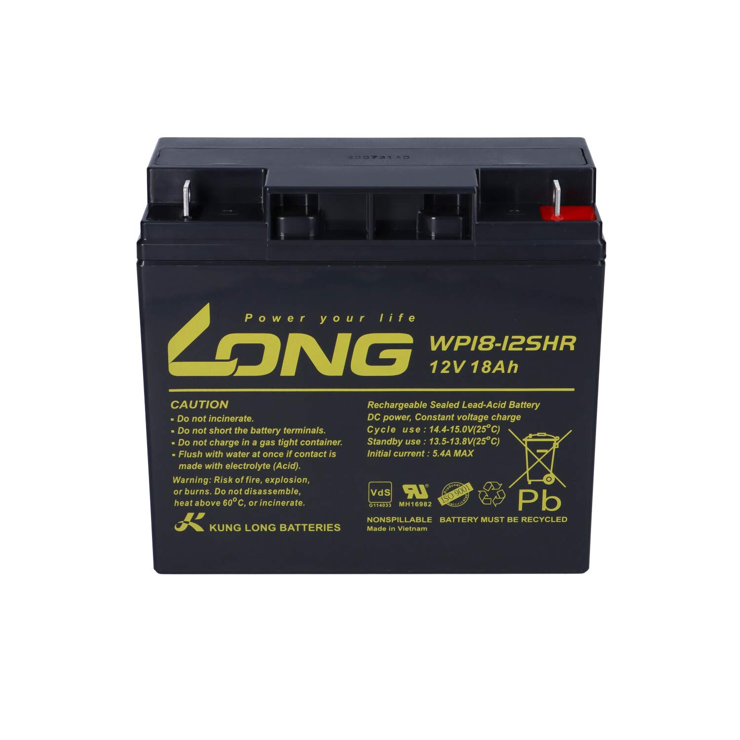 WSB Batterie 18 Ah 12 V AGM au plomb pour tondeuse à gazon, tracteur-tondeuse autoportée 17 Ah 19 Ah 20 Ah 22 Ah 23 Ah