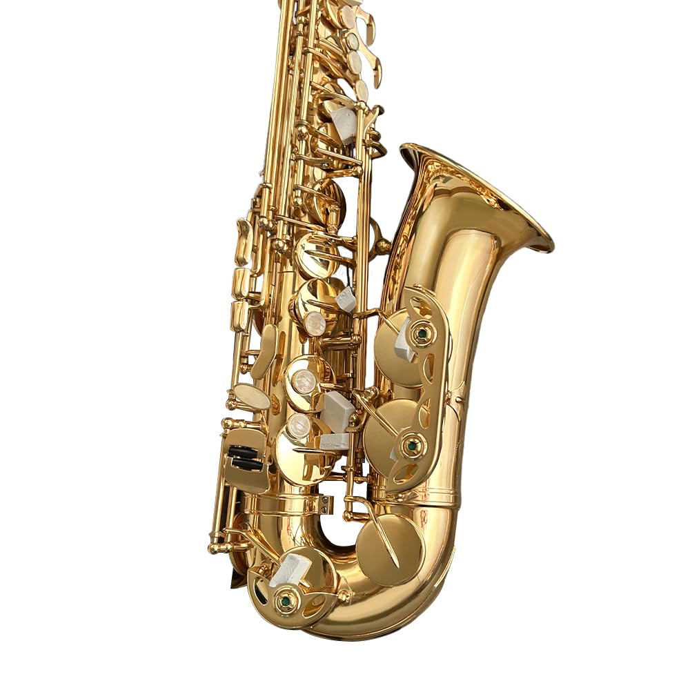 Saxofón alto para principiantes, laca dorada Eb - Kit completo de inicio con estuche y 10 lengüetas, para adultos y estudiantes, fácil de tocar para banda escolar y práctica