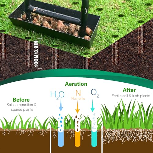 SUNEOWALY Rasenlüfter, Aerifizierer für Rasen Hohlspoon Rasenbelüfter mit Ablageschale 3 Kern Rasen Aerifizierer Hohlspoon Belüfter Hohlzinken für Verdichtete Böden und Rasen Hof Garten Schwarz