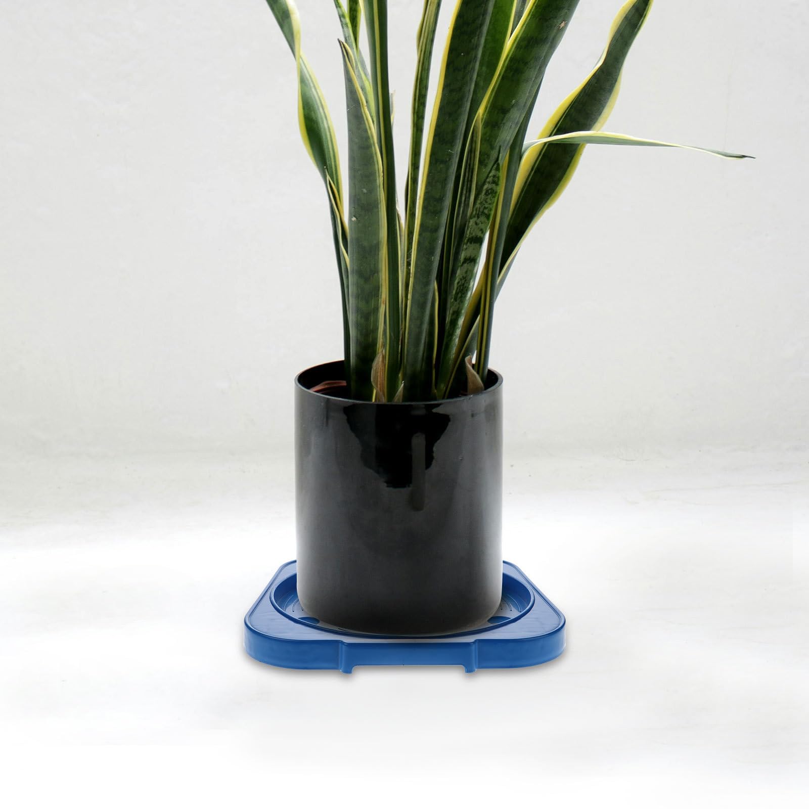 Bewegliche Gasflaschenständer mit Stabiler Tragfähigkeit aus Edelstahl und Pp Gasflasche 11kg Halter und Rollen für Küche und Garten