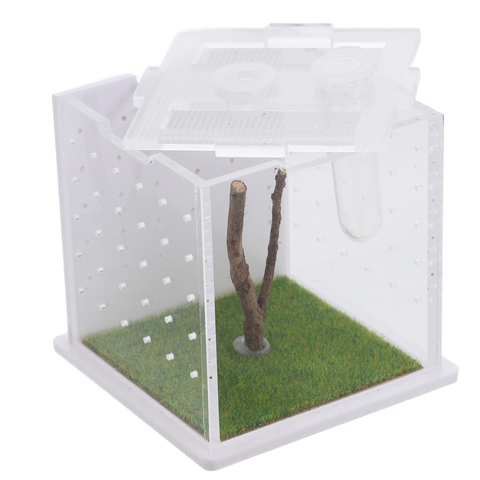 テラリウム　ディスプレイ用BOX 透明 ケース フタ付 25×12.5×25cm アクリルより丈夫 大きい