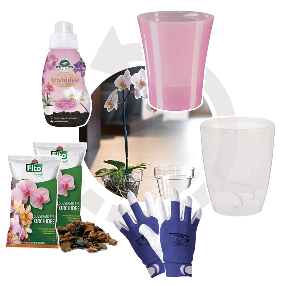 Kit de orquídeas con 2 sustrato natural, abono líquido de 250 ml + 6 ampollas de gota + guantes de regalo. Ideal para replantar, abonar e hidratar. Idea de regalo. Cuidado solución completa.