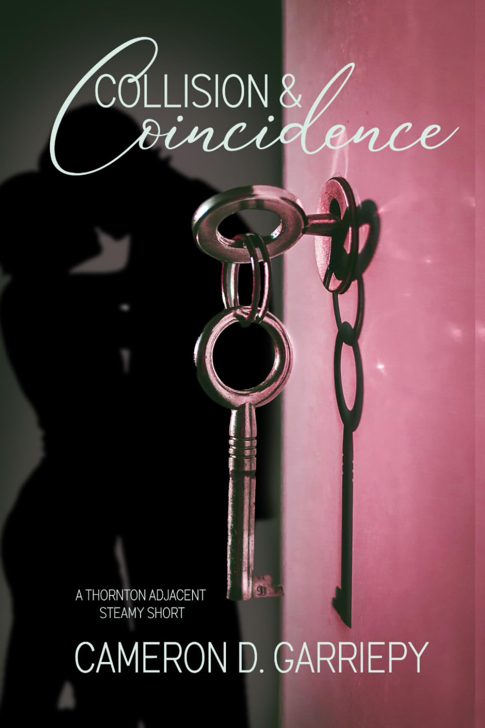 Collision & Coincidence: A Steamy Thornton-Adjacent Short Story (Thornton Vermont)