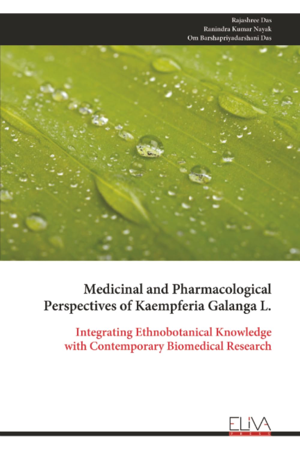 Medicinal and Pharmacological Perspectives of Kaempferia Galanga L.: Integrating Ethnobotanical Knowledge with Contemporary Biomedical Research