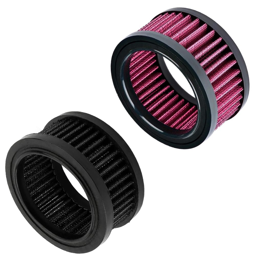 Riloer Elemento filtrante dell'aria per moto, elemento filtrante dell'aria per moto Compatibile con Harley Sportster Iron XL 883 XL1200 Sport Nightster 72 Forty-Eight 1991-2021