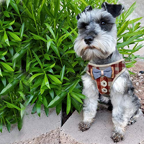 Bark Lover Small Puppy Harness With Bowtie, Adjustable Dog Vest Mesh Tuxedo Harness For Small Dog Kitten, Perfect For Party Wedding Holiday(L, Red Plaid) #TOP4