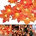 Produktbild Ahornblatt Lichterketten, Eyscoco 3M 20LED Herbstgirlande Herbst Blättergirlande Herbstdeko Herbst Ahornblatt Deko Herbst Dekoration für Halloween Thanksgiving Weihnachten Balkon Terrasse Wohnzimmer