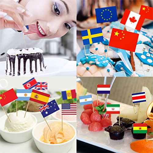 Youngrich 100 Pack World Flag Sticks(19 Countries) International Flags Banners Toothpicks Cocktail Sticks Cupcake Picks Banner Innovative Design One-Off For Bar Sports Clubs Party Events Decoration #TOP4