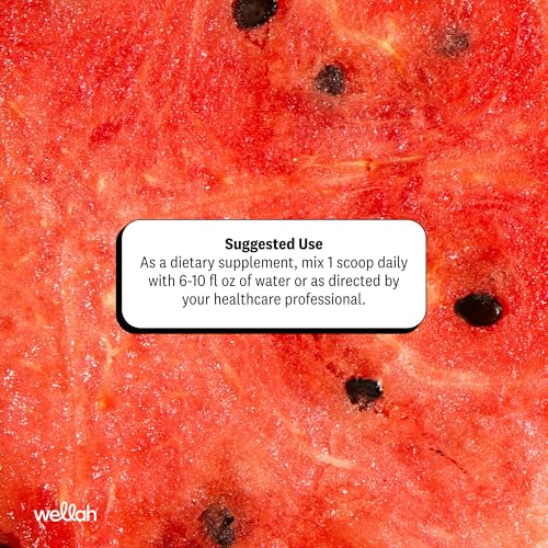 Image of Wellah Creatine + Electrolytes Powder (Watermelon Slush) 30 Servings - Hydration Drink Mix with 3g of Creatine Monohydrate