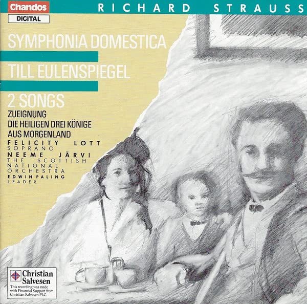 Sinfonia Domestica Op.53 [Audio CD]