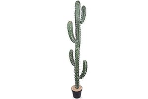 Artificial Cactus Plant - Perfect for Home or Office