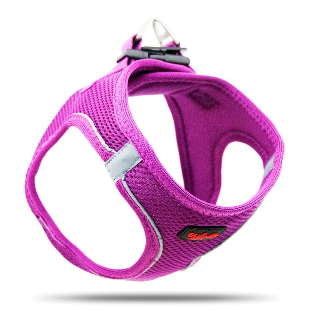 Tailpetz Step-in Breathable Airmesh Vest Harness Reflective Soft Padded Harnesses for Cats Puppies Small and Medium Dogs (Neon-Orange 3XSmall)