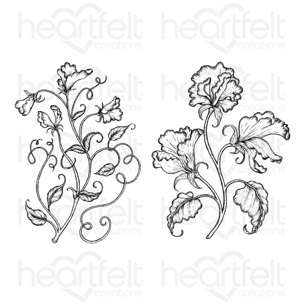 Heartfelt Creations スタンプセット 3点 Amazon.com: HEARTFELT CREATIONS Cling RBBR STMP Set, Vining Sweet