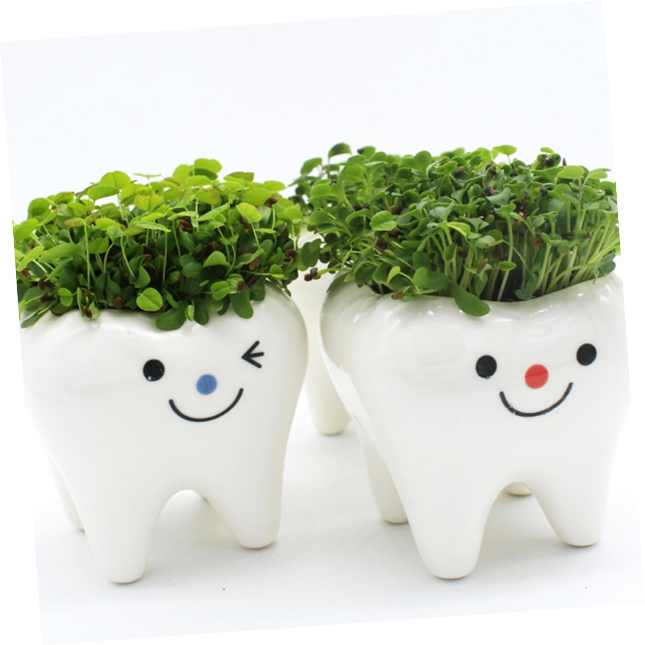 2er Set Keramik-Blumentöpfe Für Sukkulenten – Weiß, Ca. 6,8 X 9,9 Cm, Niedliches Zahn-Design