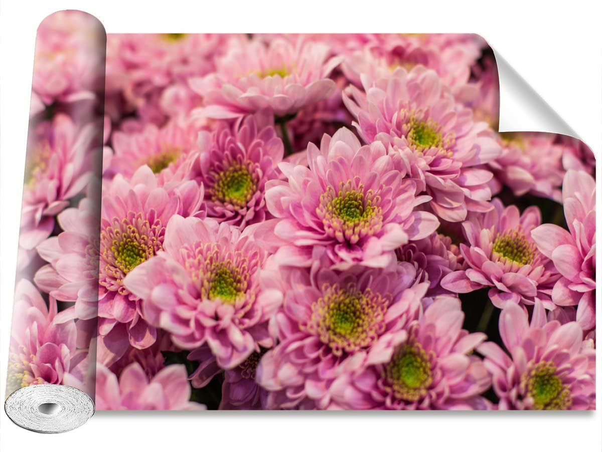 Papier peint camouflage chrysanthèmes roses grand format résistant