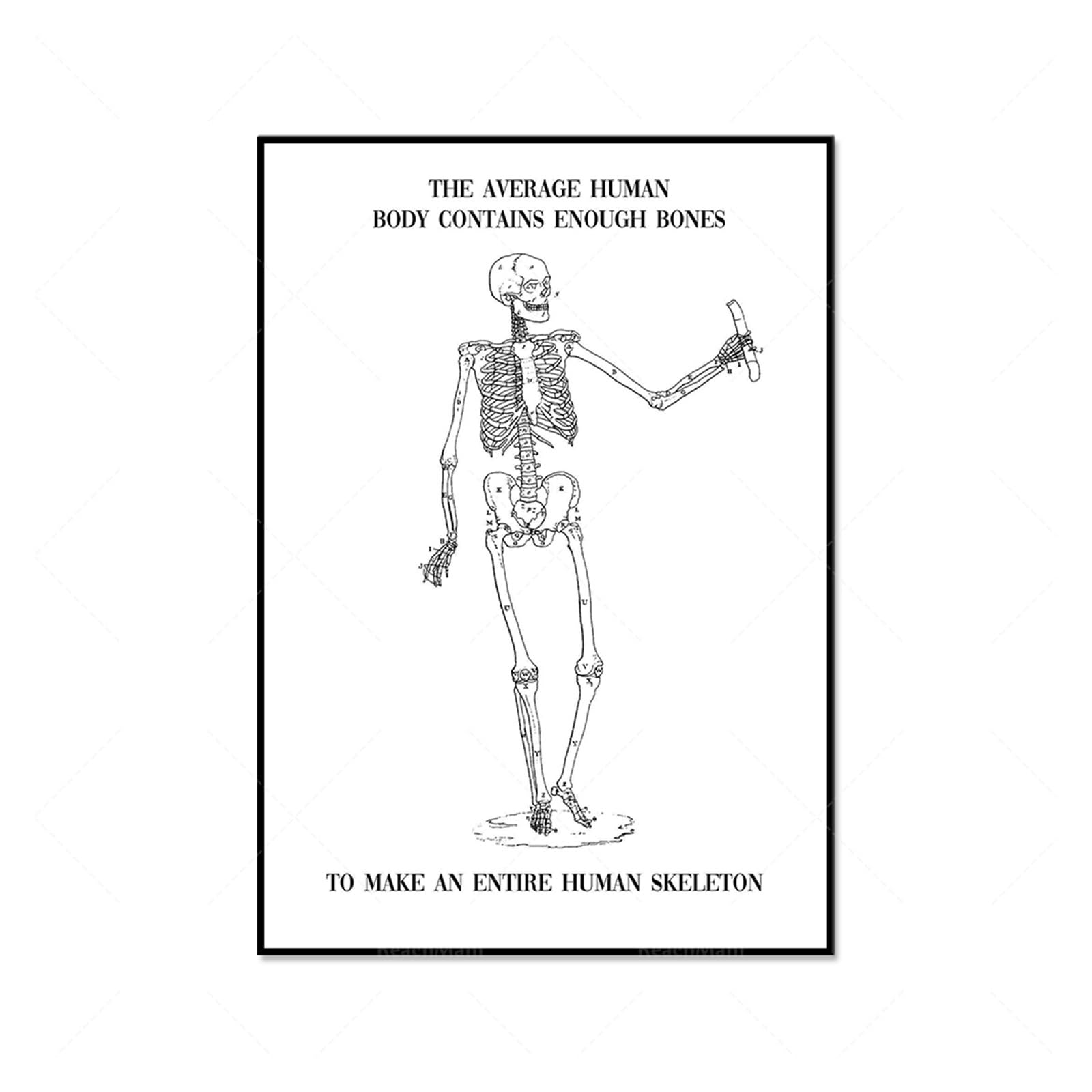 1 Szt. Anatomia Ciała Układ Mięśniowy Obraz Ścienny Na Płótnie Plakat Wydrukowana Mapa Edukacja Medyczna Dekoracja Wnętrz(10,70X90CM No Frame)