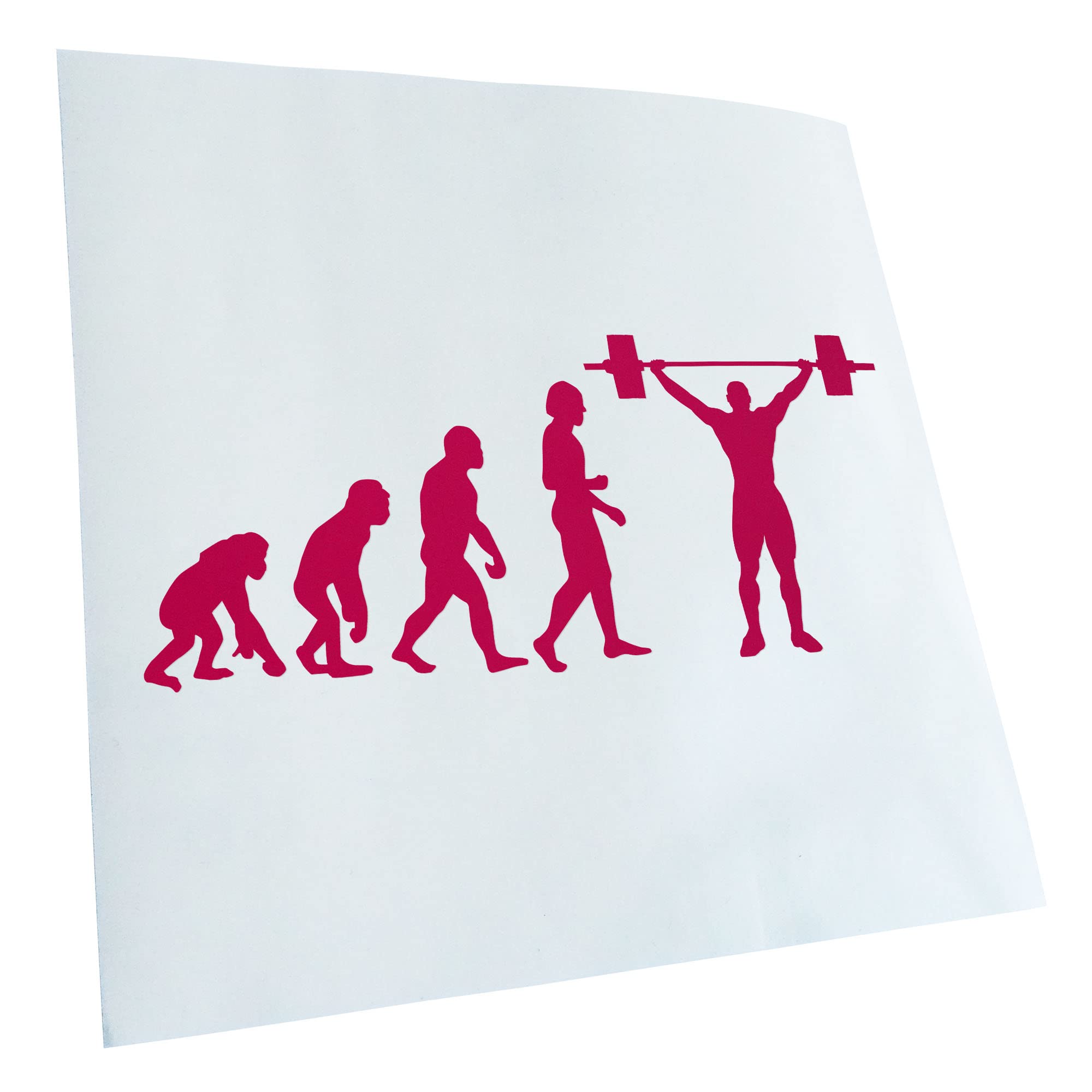 Kiwistar - Car Sticker - Pink - 50 x 21 cm Evolution Weightlifter - Rear Window Car Sticker Weatherproof for Car Truck Moped Truck - Sticker Exterior Self-Adhesive Tuning Accessories for Window