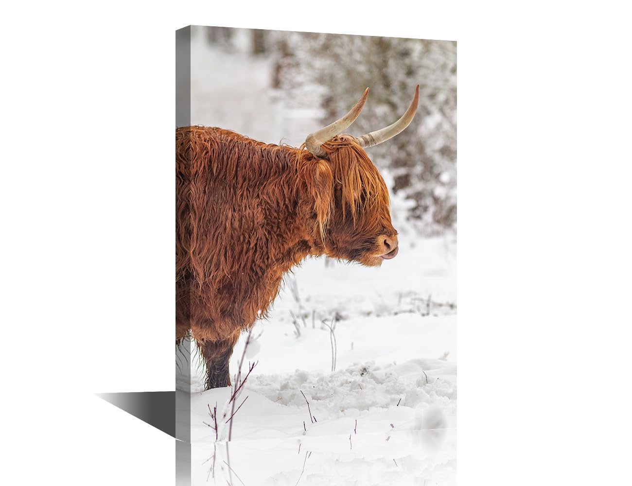 1 Panels Animal Large Wall Art Highland Cattle Framed Wall Art Animal Closeup Wall Art for Living Room Modern Home Decor Giclee Gallery-Wrapped Posters and Prints Framed Ready to Hang (24"Wx36"H)
