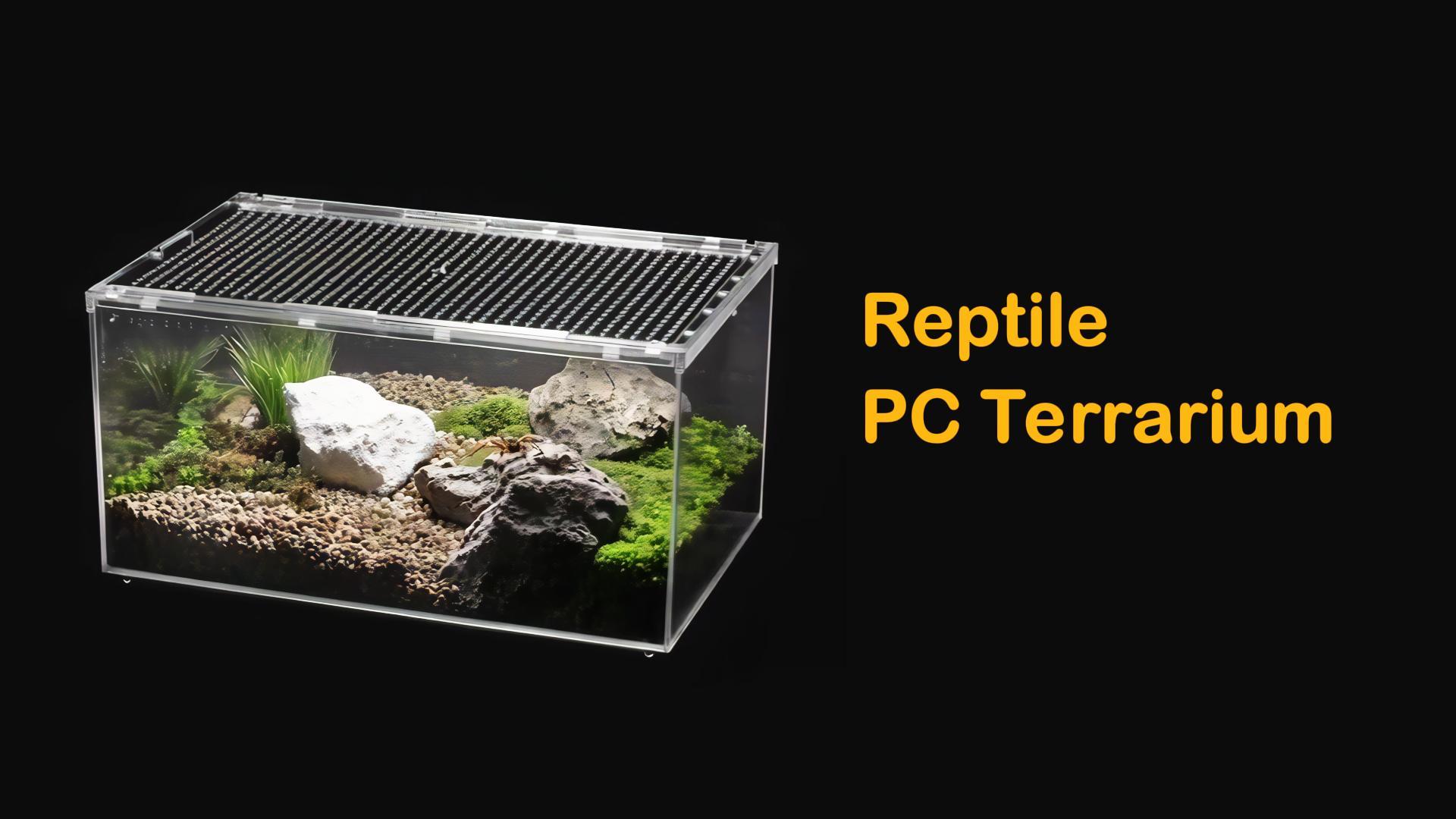 Amazon.com : Clioran Reptile PC Terrarium,Tarantula Enclosure