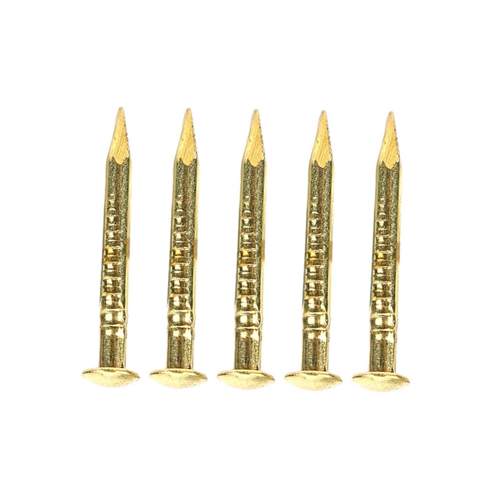 Hardware Accessories, 100Pcs Strong Round Head Nail, for Furniture for Hardware (15mm Long)