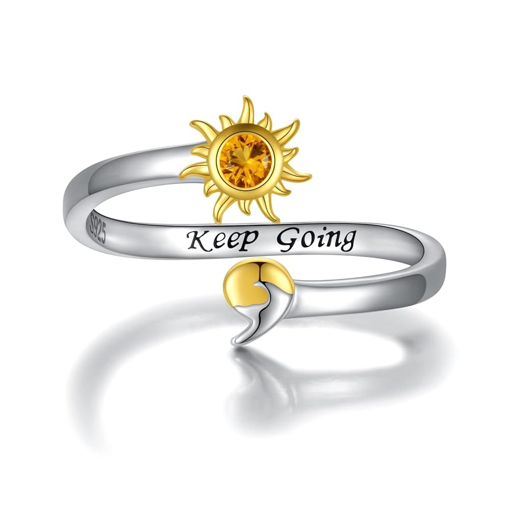 訳有 301g カントリーアーティスト スターリング シルバー ペンギン 訳