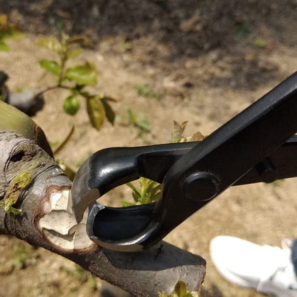 Branch Cutter, Bonsai Cutter, Composite Steel Flower Cutting Trimming Bonsai Twigs for Fruit Tree Bonsai