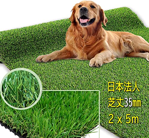 人工芝 ロール 芝生 ロール リアル 芝生 人工芝 シート 人工芝マット リアル人工芝 芝丈35mm 高密度 リアル 人工芝ロール 密度1.9倍 庭 ガーデニング ガーデン ベランダ バルコニー 屋上 テラス 芝生 マット 芝生シート 防火 排水 雑草防止 雑草 メンテナンス 不要 5年使用 環境保護 ペットに優しい (2x5M, 秋色)