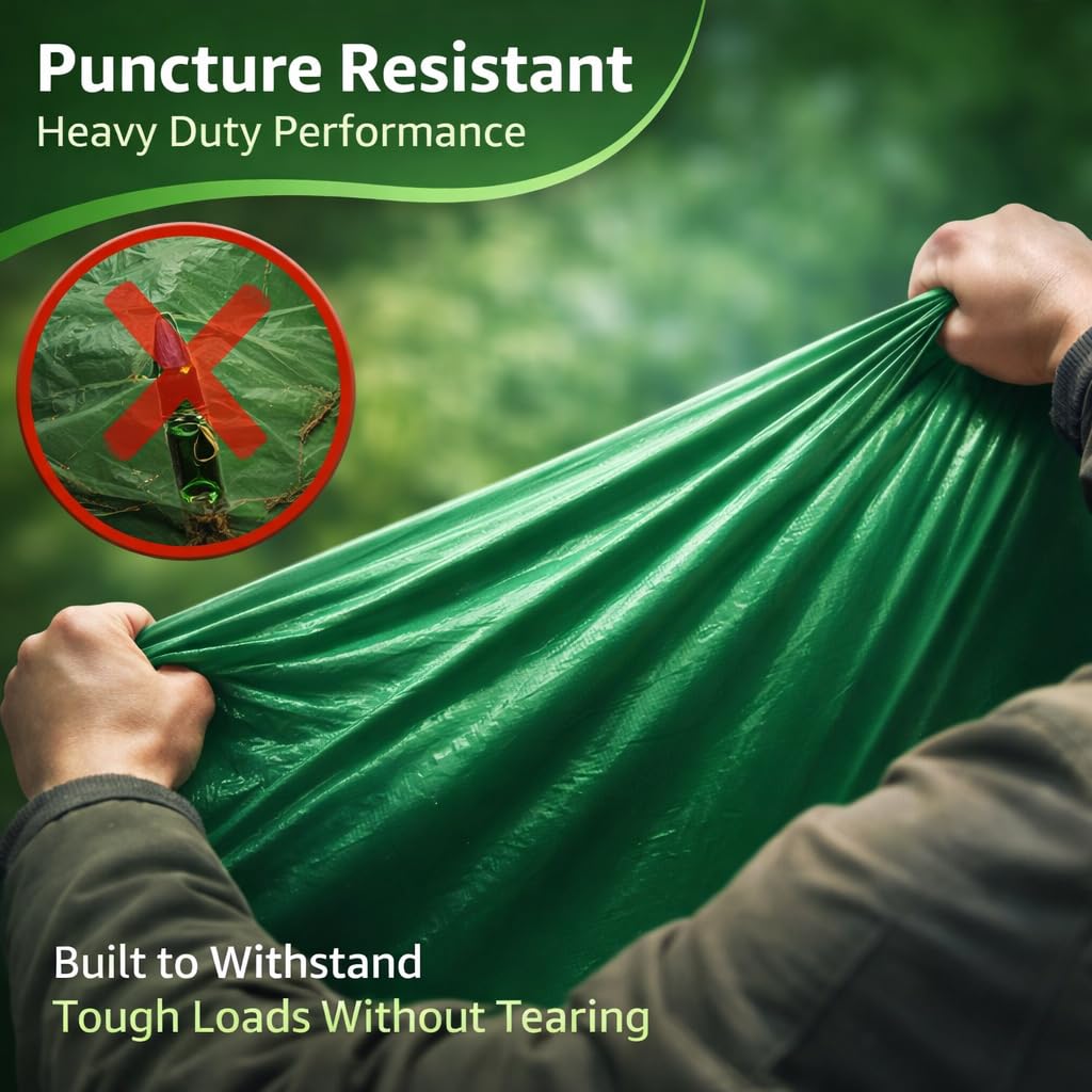 View 4