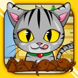 Skateboard! Ixy Bengal\'s Treat Catch